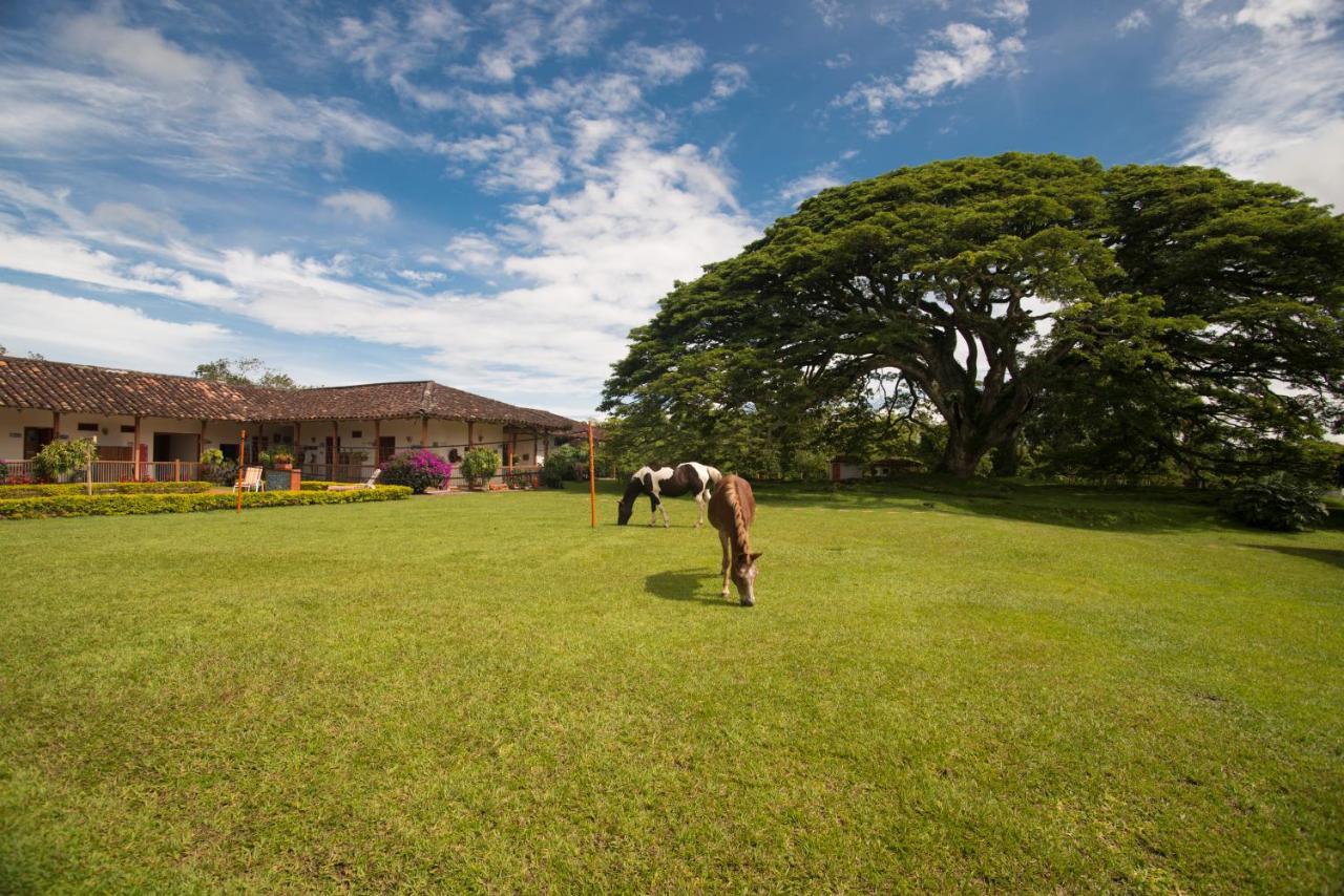 Hacienda El Saman Villa Quimbaya Kültér fotó