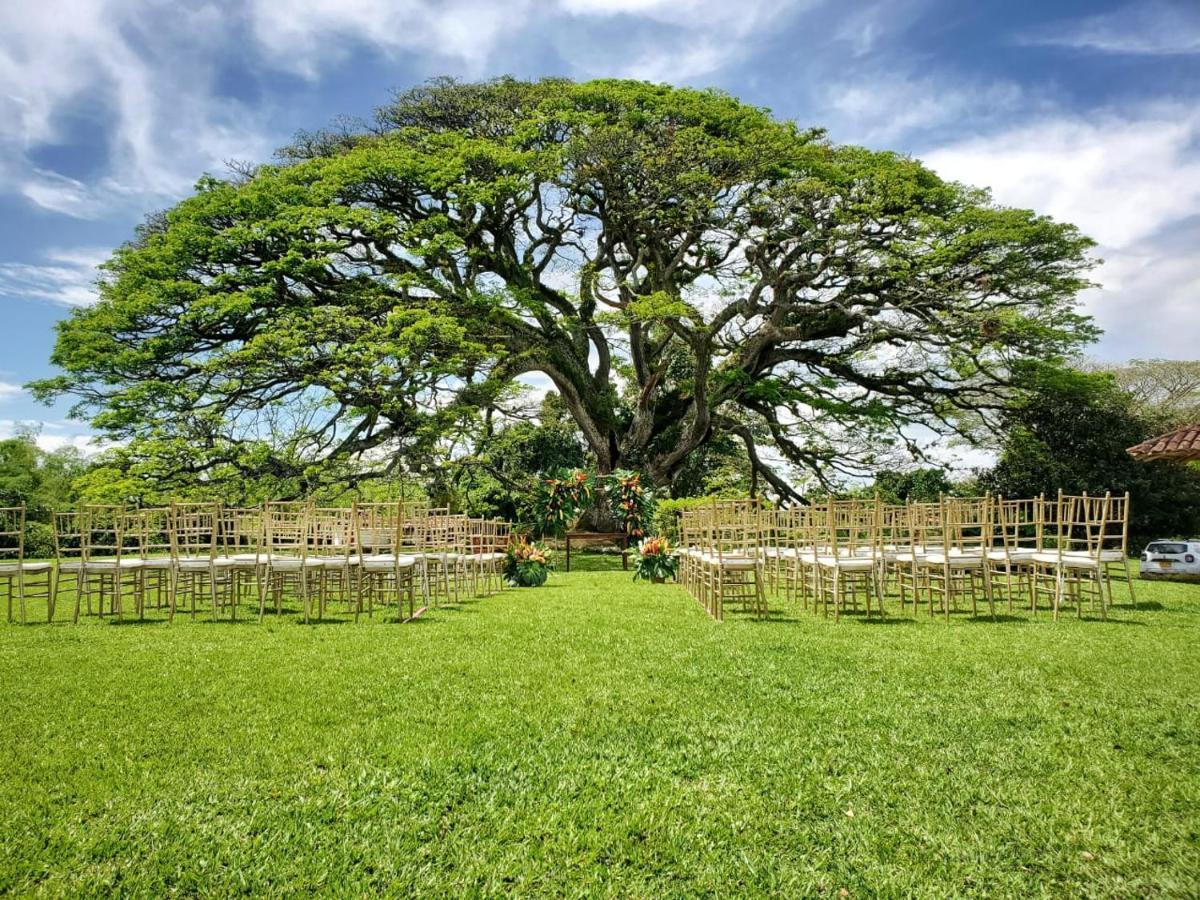 Hacienda El Saman Villa Quimbaya Kültér fotó